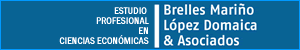 Merino_domaica