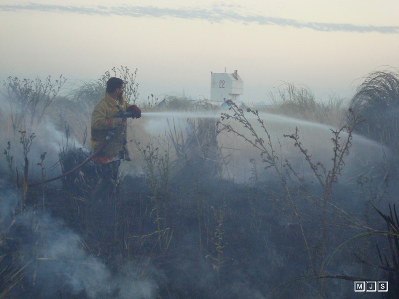 Se incendió la Reserva Natural Puerto Mar del Plata