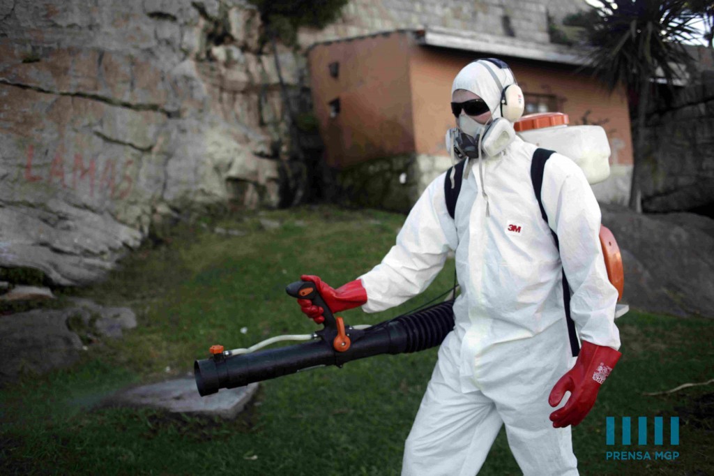 Foto MGP - Enosur - Gestiu+¦n Ambiental - desratizaci+¦n 2