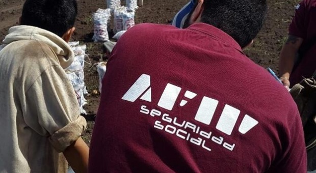 Procesan a empresarios productores de papa que hacían dormir a sus empleados en un colectivo