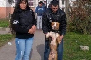 Final feliz para Jack: hay vida después de la muerte