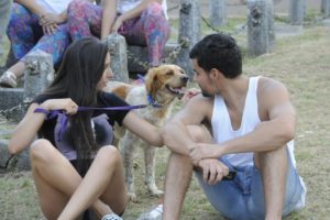Tandil: se realizó la cuarta jornada de reencuentro de mascotas con sus dueños en el Parque