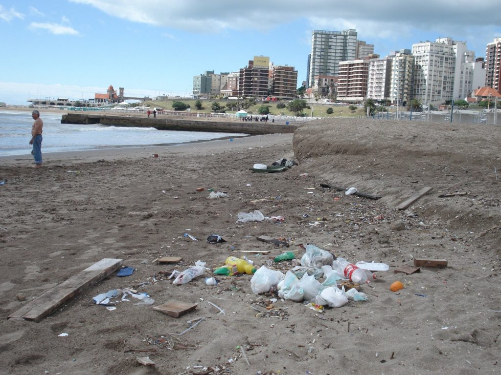 Un daño irreversible al medio ambiente las consecuencias de los residuos plásticos en las