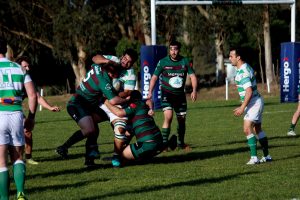 Rugby: buena jornada de los marplatenses