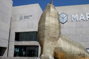 El Banco Provincia brindará un ciclo de charlas culturales en el Museo MAR