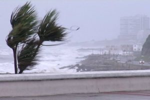 Caídas de postes,  árboles y líneas aéreas  en las primeras horas de un fuerte vendaval