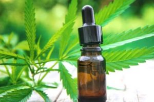 Estudian los efectos del cannabis sobre enfermos con Covid-19