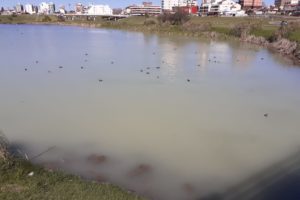Denuncias por contaminación en las Lagunas de Punta Mogotes