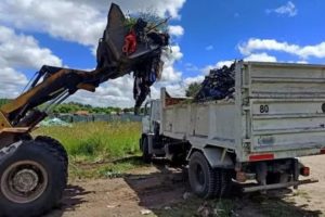 La Municipalidad recogió más de 300 toneladas de restos de poda