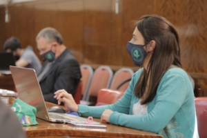 El HCD crea dos nuevas comisiones: la de Políticas de Género y la de Seguridad Pública