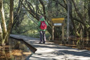 Provincia por provincia: cómo será el ingreso en temporada