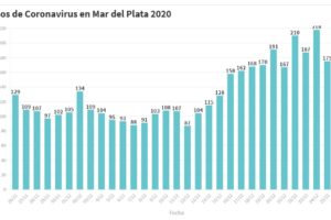 Hay 195 nuevas personas en tratamiento por Covid-19 y 208 recuperadas
