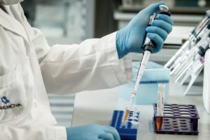 Comienza la distribución del suero equino hiperinmune desarrollado en Argentina.