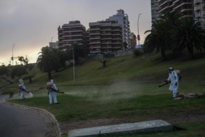 El Municipio está realizando fumigaciones en distintas zonas de la ciudad