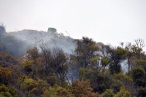 Riesgo “extremo” de incendio forestal en Tandil