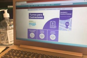 Se puede tramitar online el turno para la castración de mascotas