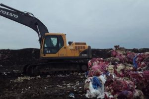 Macabro: hallan nueve fetos en el predio del CEAMSE