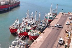 El puerto no es una isla para el coronavirus sino un foco de contagio