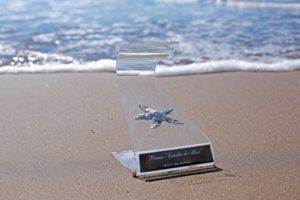 La Asociación Argentina de Actores local denunció censura en los Estrellas de Mar