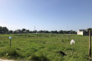 Defensoría del Pueblo interviene para frenar usurpaciones en Barrio Autódromo 