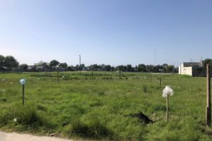 La Defensoría del Pueblo interviene para frenar usurpaciones en el barrio Autódromo