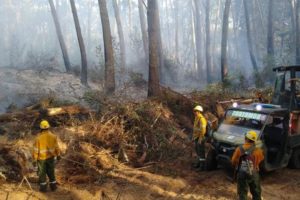 Bomberos de la ciudad asistieron en los incendios forestales de Cariló y Tandil