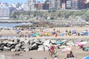 En febrero se registró una caída en las ventas del 35%