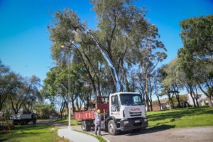 Comenzó el Plan de Potenciación de Luminarias en Plazas y Paseos
