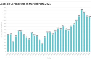 Hay 219 nuevas personas en tratamiento por Covid-19 y 100 recuperadas