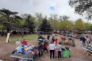 Levantaron más de 800 puestos en la feria de Plaza Rocha
