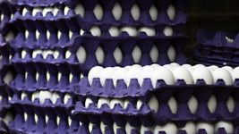 El precio de la Canasta Básica Alimentaria aumentó 3,9% en abril