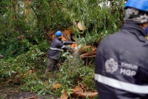Intenso trabajo para solucionar inconvenientes producidos por el temporal