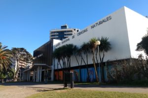 Se conmemorará mañana una nueva edición del Día Internacional de los Museos