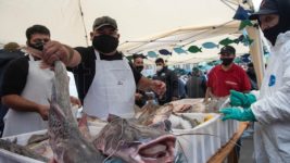 «Pescadazo» en el Congreso: pequeños productores venden pescado a $100 el kilo
