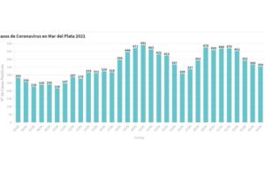 Mar del Plata: confirmaron 354 contagios y 14 muertes en las últimas 24 horas