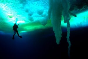 Este domingo Cine Debate realizará una proyección especial
