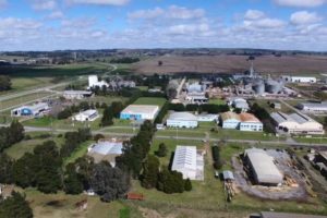 Instalarán en Tandil la primera planta de fabricación de paneles a base de rastrojo de trigo