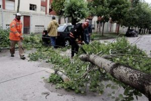 Al menos 11 techos se desprendieron a causa del viento.