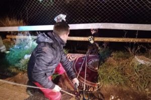 Rescataron a una pareja que cayó desde 10 metros en la zona de canteras del Puerto