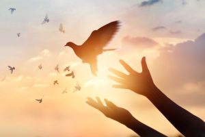 Invitan a niños de 6 a 15 años a participar del concurso internacional de arte “Ciudades Pacíficas 2021”