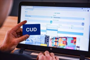 Las personas con discapacidades ya pueden adquirir sus pasajes de tren por la web