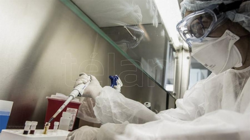 Pfizer y BioNTech confirmaron acuerdo con el Gobierno para proveer «20 millones de dosis de su vacuna» contra el coronavirus en 2021