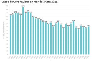 Reportaron hoy en Mar del Plata 162 nuevos casos de Covid-19