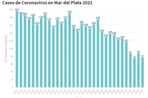 Mar del Plata: Se sumaron hoy 77 nuevos casos de Covid