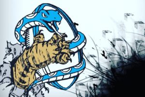 Los Pumas Classic llegarán este fin de semana a Mar del Plata