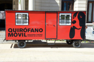 El municipio continua con el programa de castración y vacunación gratuita de mascotas