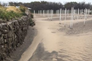 Las piedras reemplazan a la arena y se achican las playas de la ciudad: nula intervención estatal