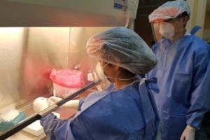 Coronavirus: los contagios diarios alcanzan el nivel previo al de la primera ola de la pandemia, no así las muertes