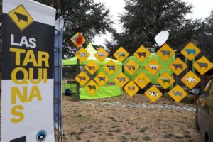 Este viernes comienza en el Museo MAR un ciclo de conversatorio virtual