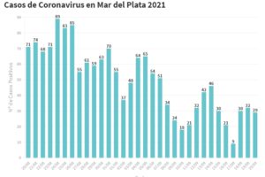 Se informaron hoy 29 nuevos contagios de Covid
